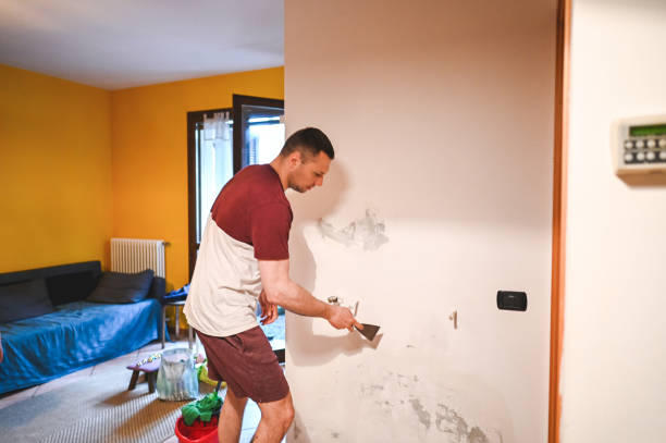 Reliable Visalia, CA Mold Remediation Solutions