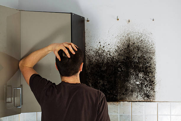 Best Mold Remediation for Schools in Visalia, CA